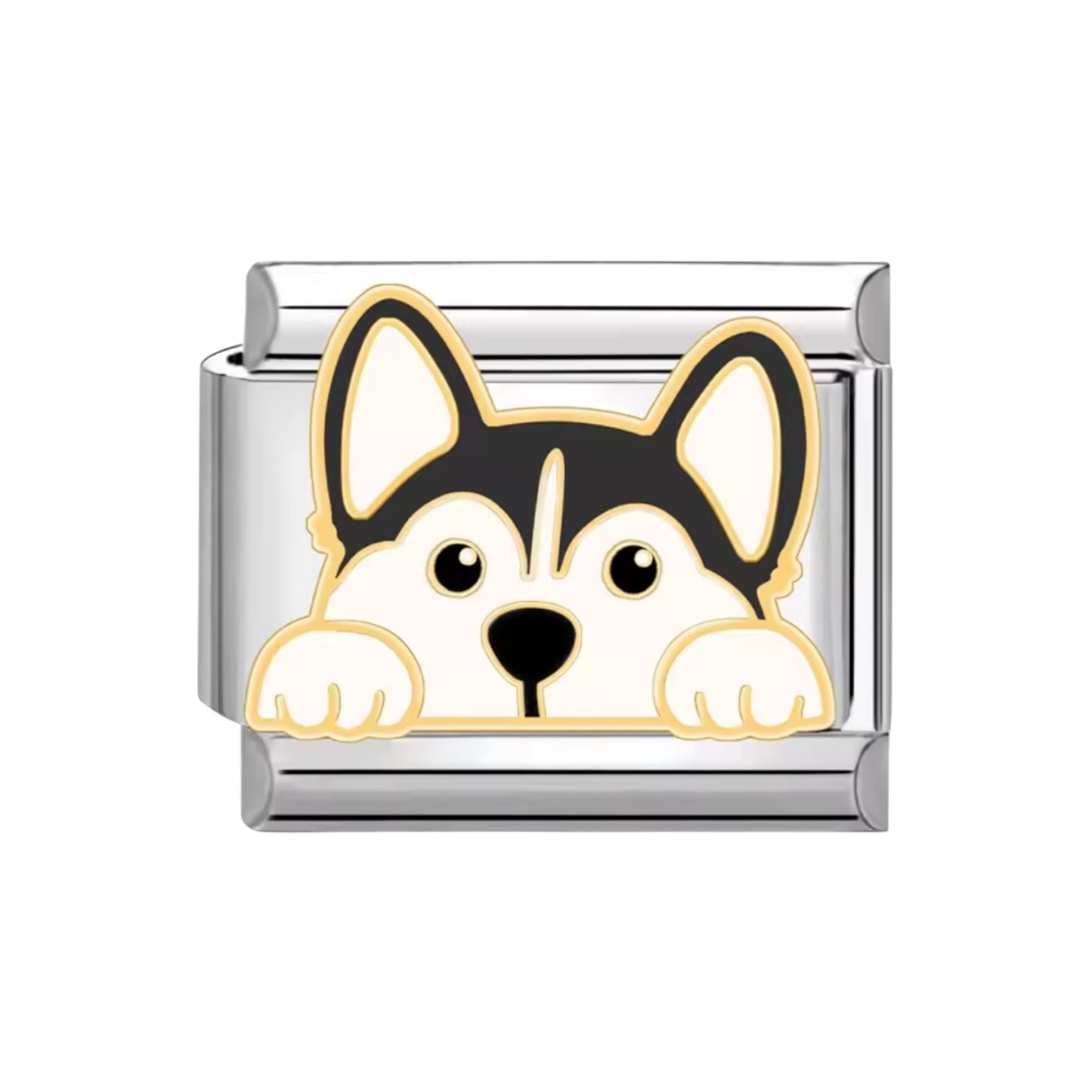 Charm Italian perro