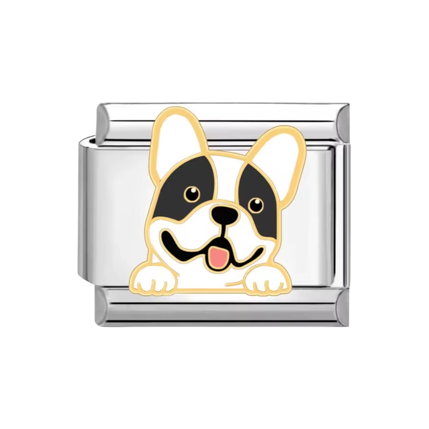 Charm Italian perro