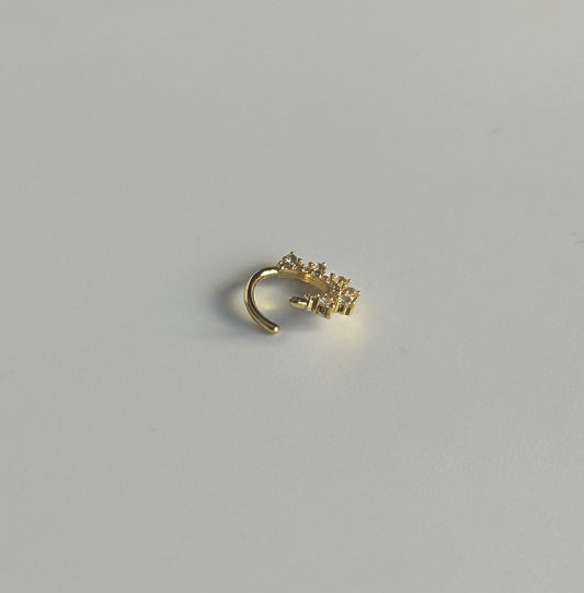 Daith picos