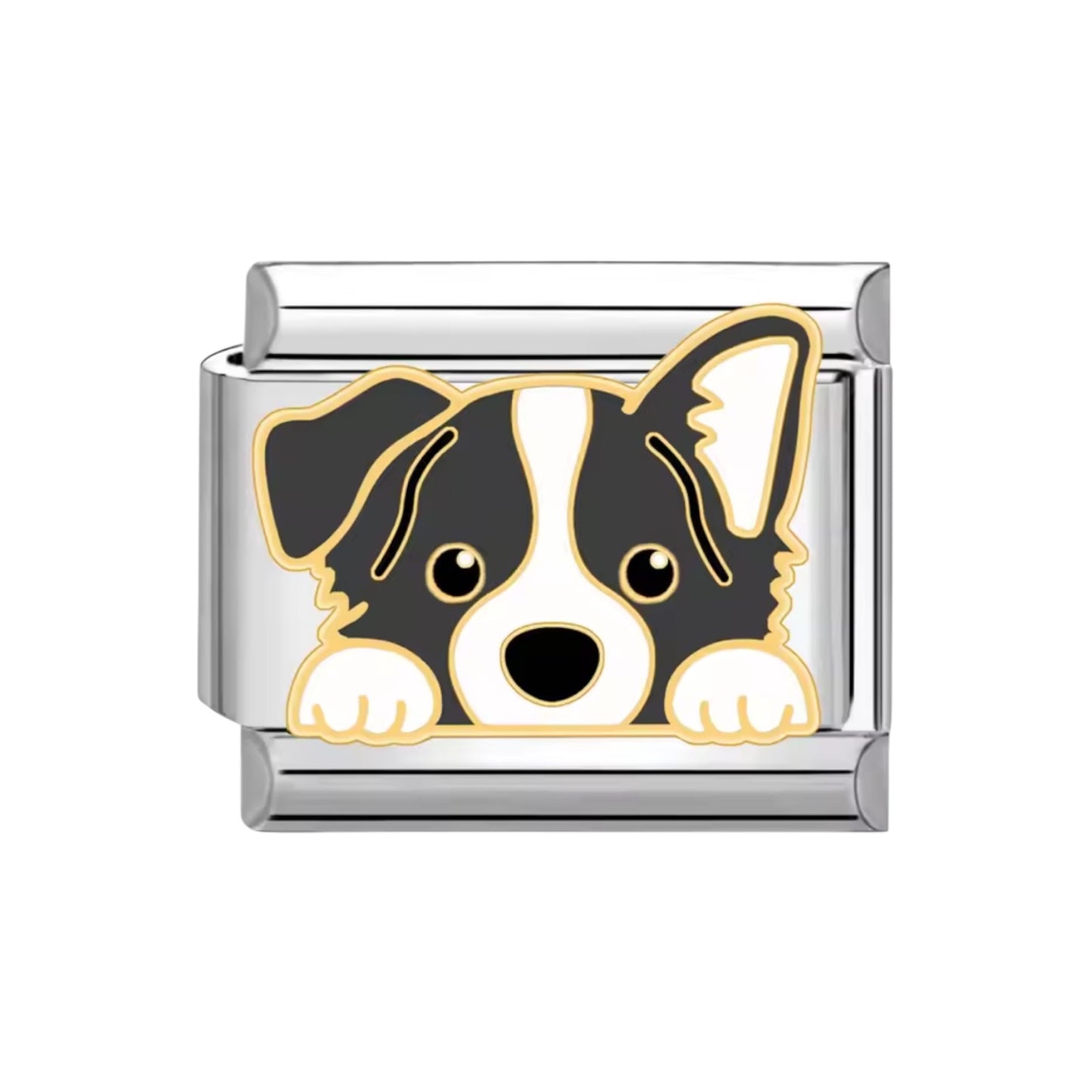 Charm Italian perro