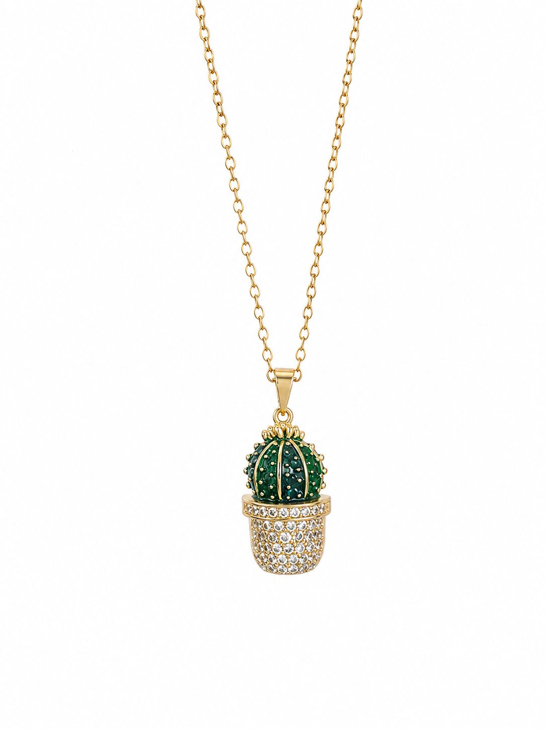 Collar cactus