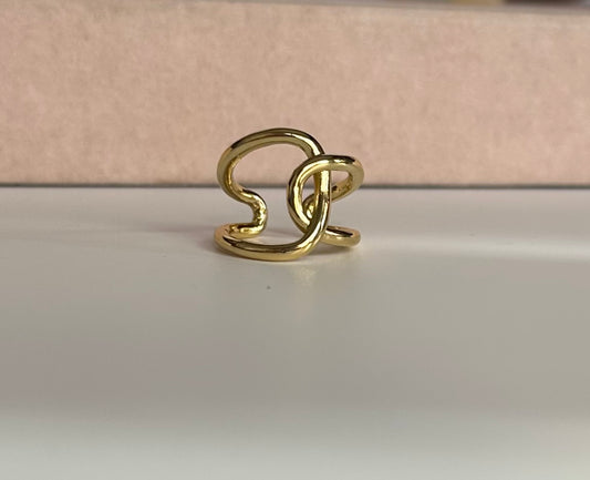 Anillo nudo