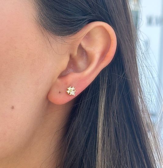 Piercing enjambre