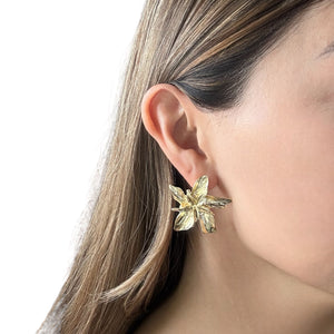 Aretes bloom