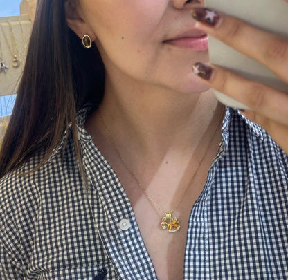 Collar multicharm