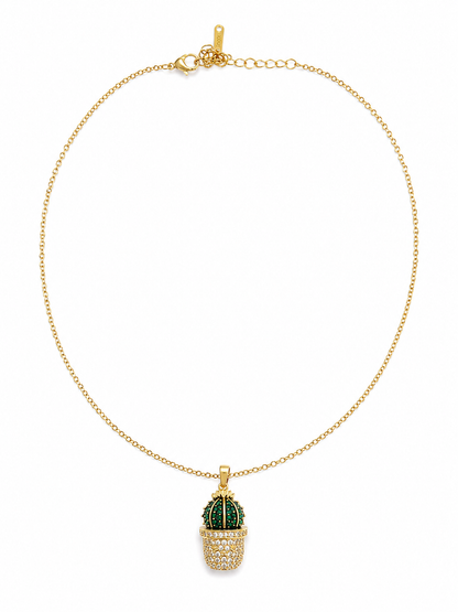 Collar cactus