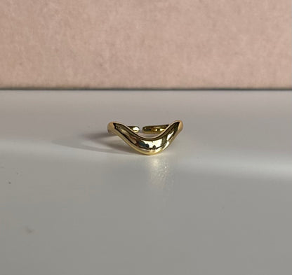 Anillo wave