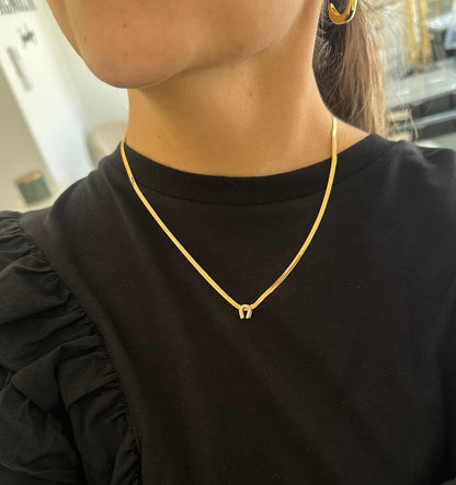 Collar plano herradura