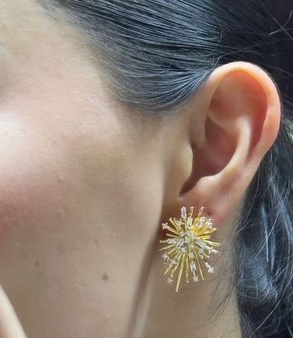 Aretes firework