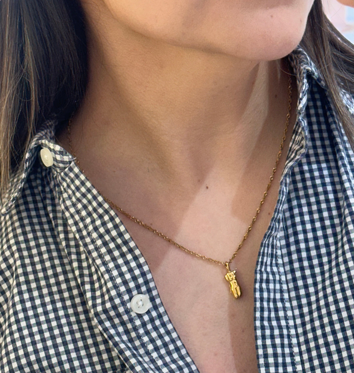 Collar body