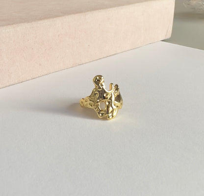 Anillo lava