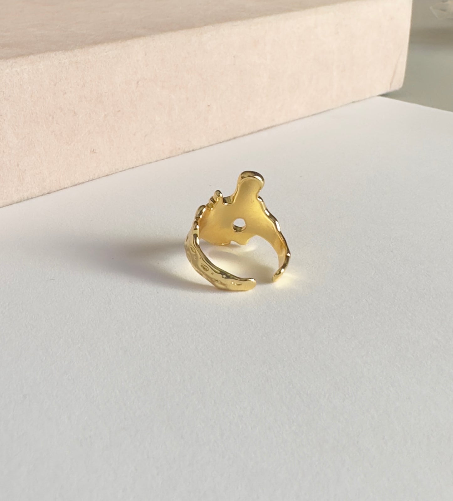 Anillo lava