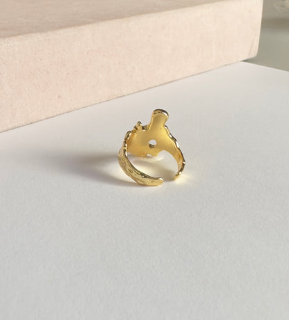 Anillo lava