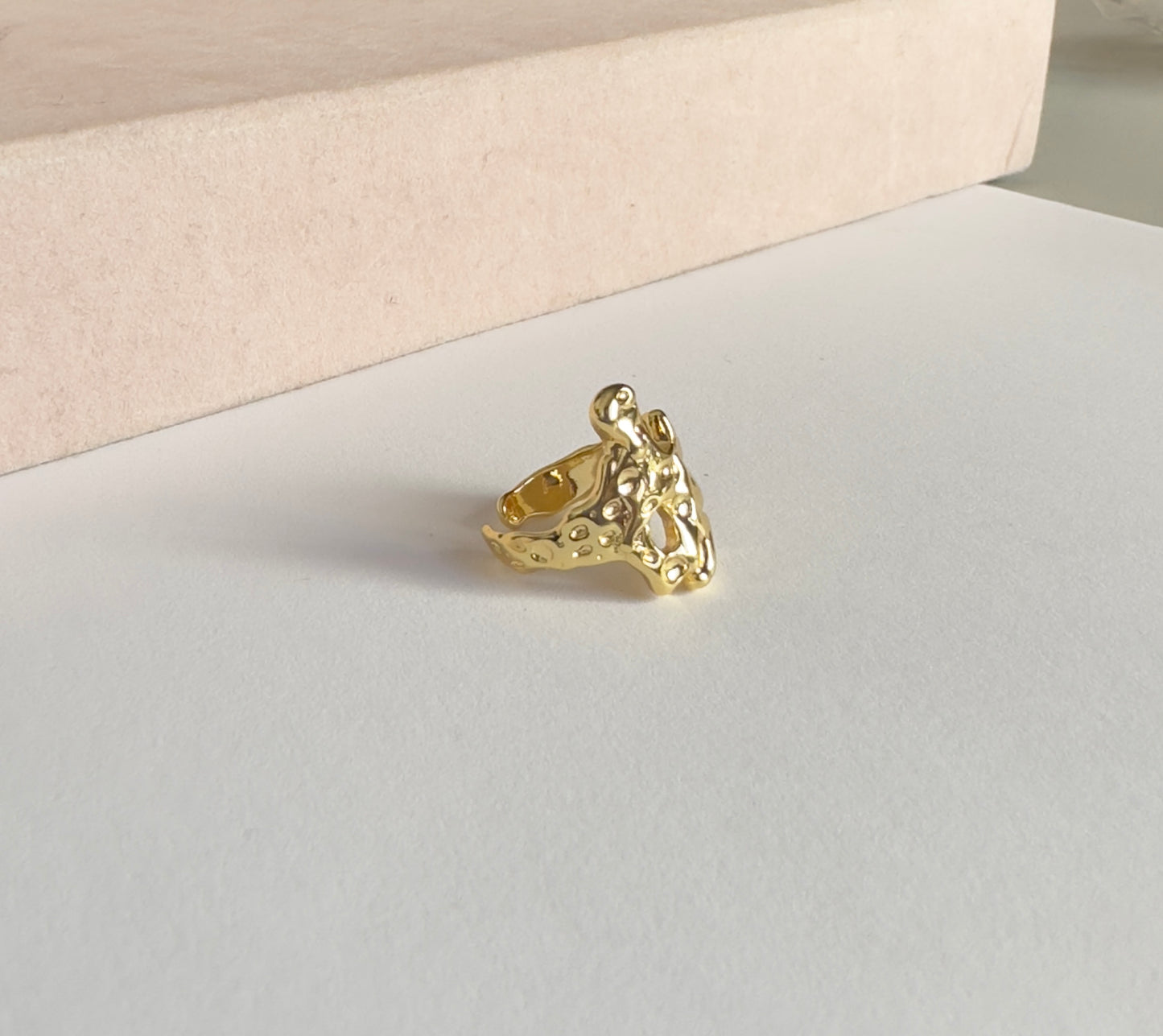 Anillo lava