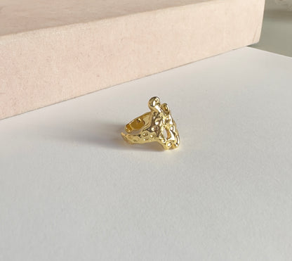 Anillo lava