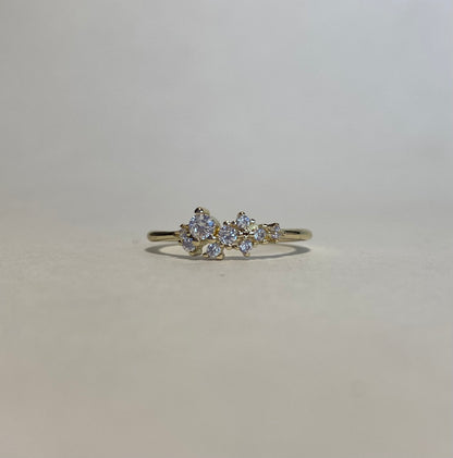 Anillo Luz