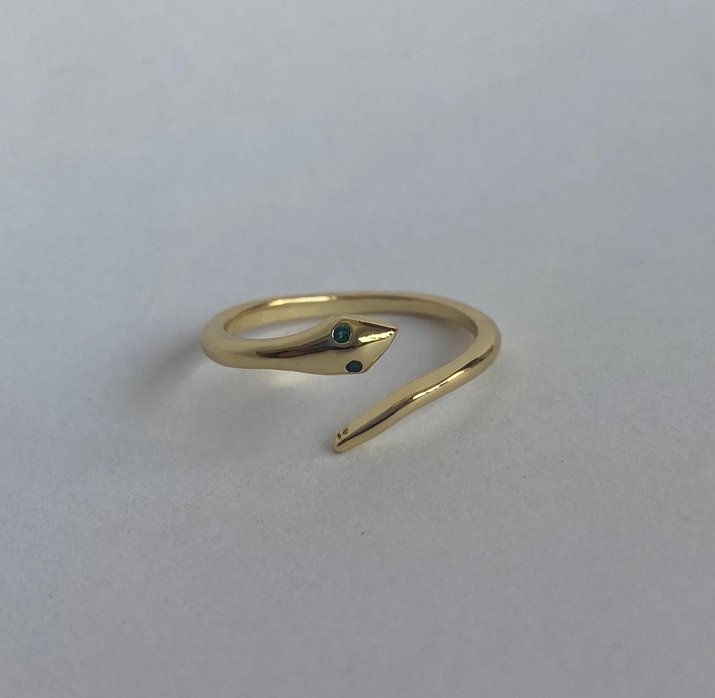 Anillo simple serpiente