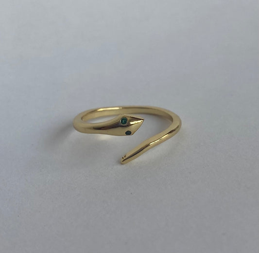 Anillo simple serpiente